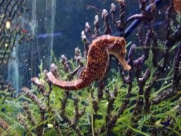 Haus des Meeres 13.03.2026